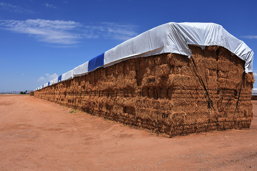 What are the usage scenarios of waterproof and rainproof tarpaulins?