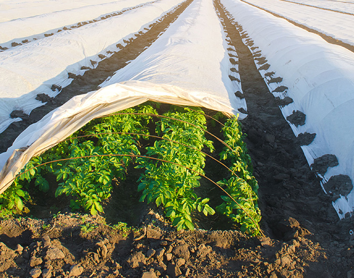 Empowering Modern Agriculture, Protecting Every Harvest